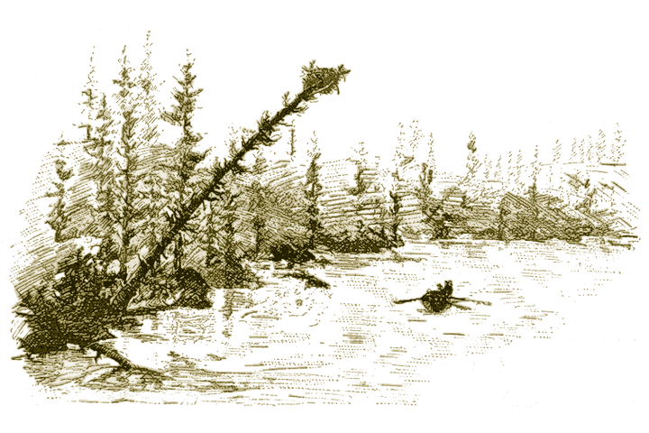 Osprey nest, 1887