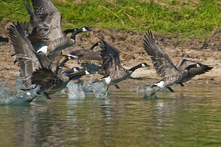 launch from water