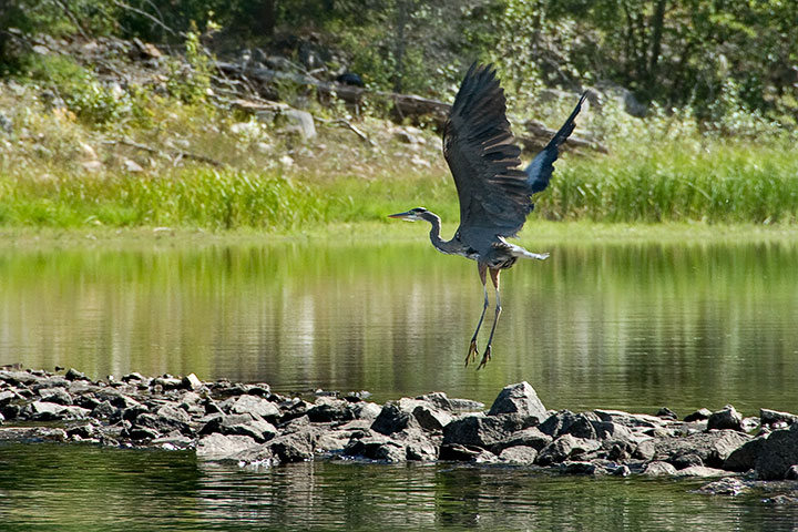 heron, liftoff