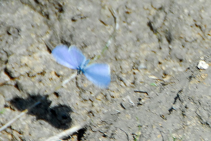 spring azure