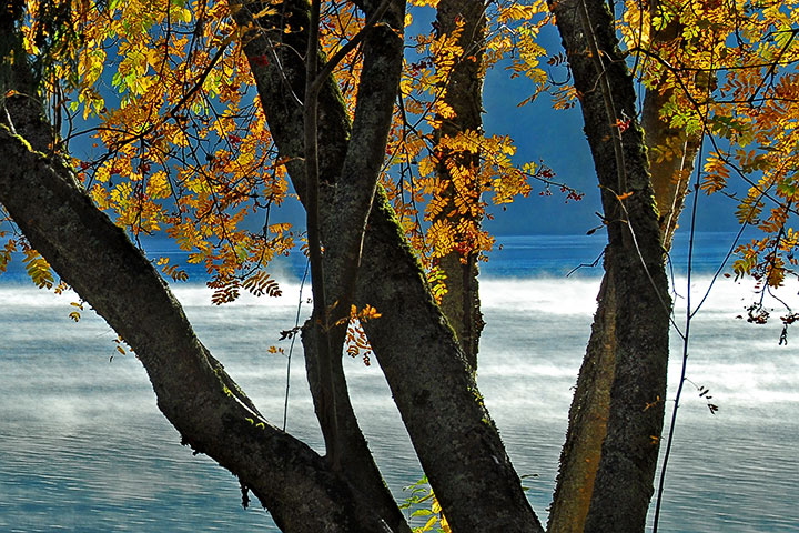 October brings steam fog to the Lake and sienna to the shore