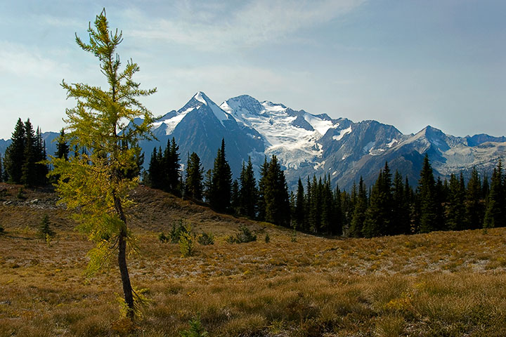 Glacier (Mt. Cooper)