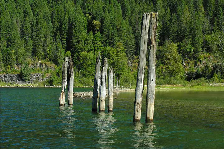 burnt pilings at Troup