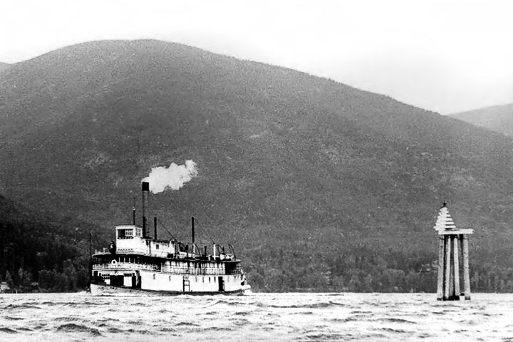 Moyie passes dolphin