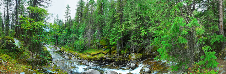Kokanee Creek