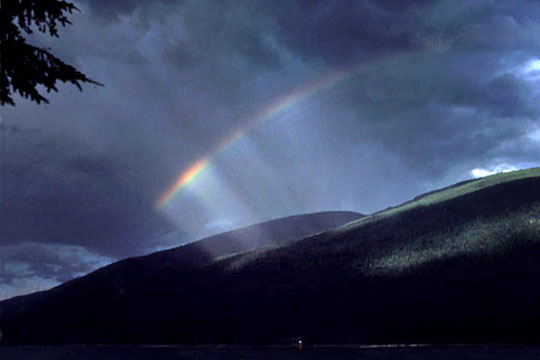 Rainbow & sunbeams