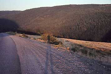 dry heiligenschein