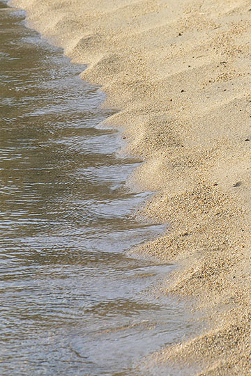 beach cusps