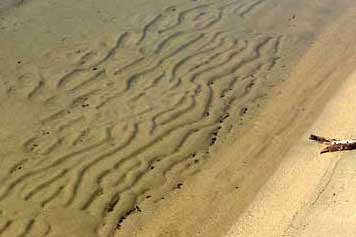 Sand ripples