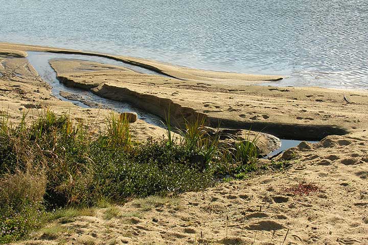 longshore drift