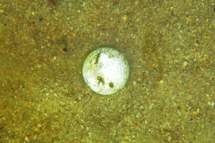 golf ball