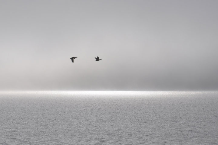 valley fog