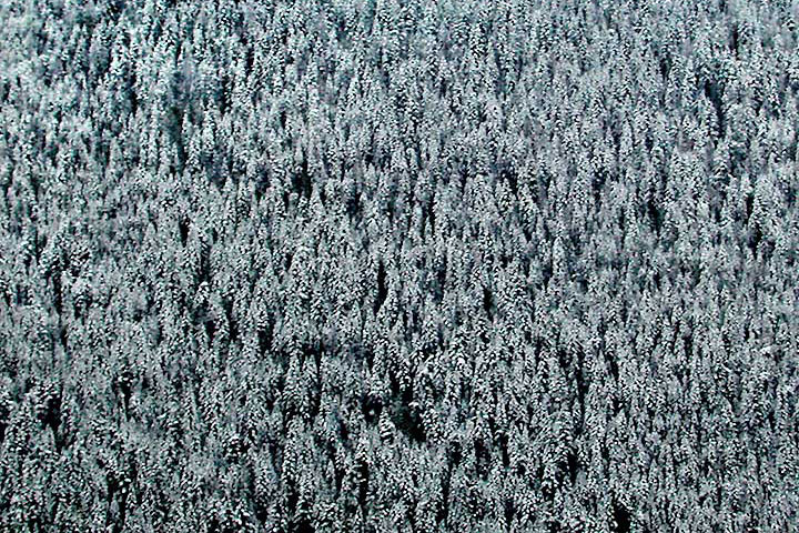 Fresh snow on mountainside